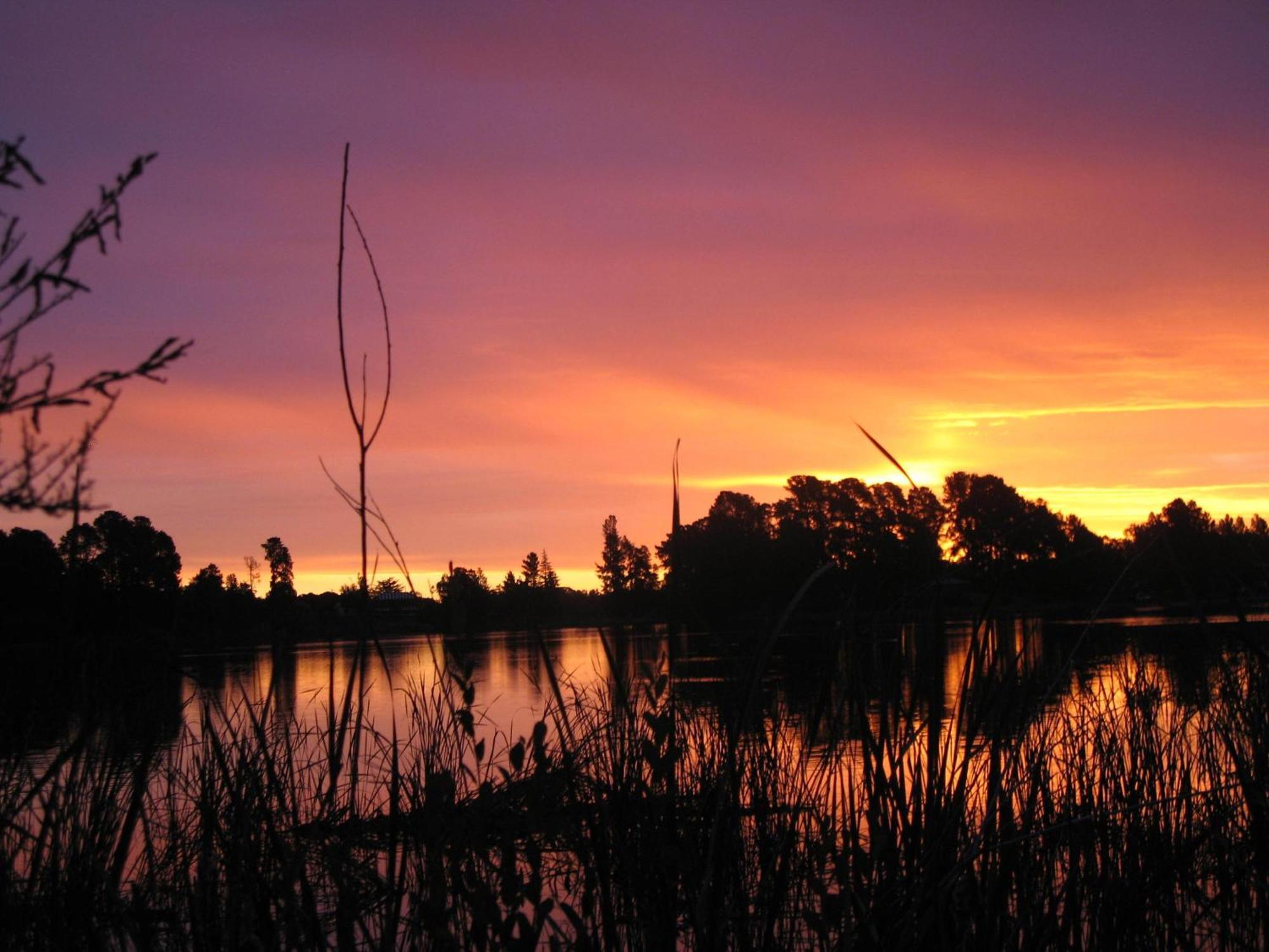 Beechworth Lake Sambell Caravan Park Exterior foto