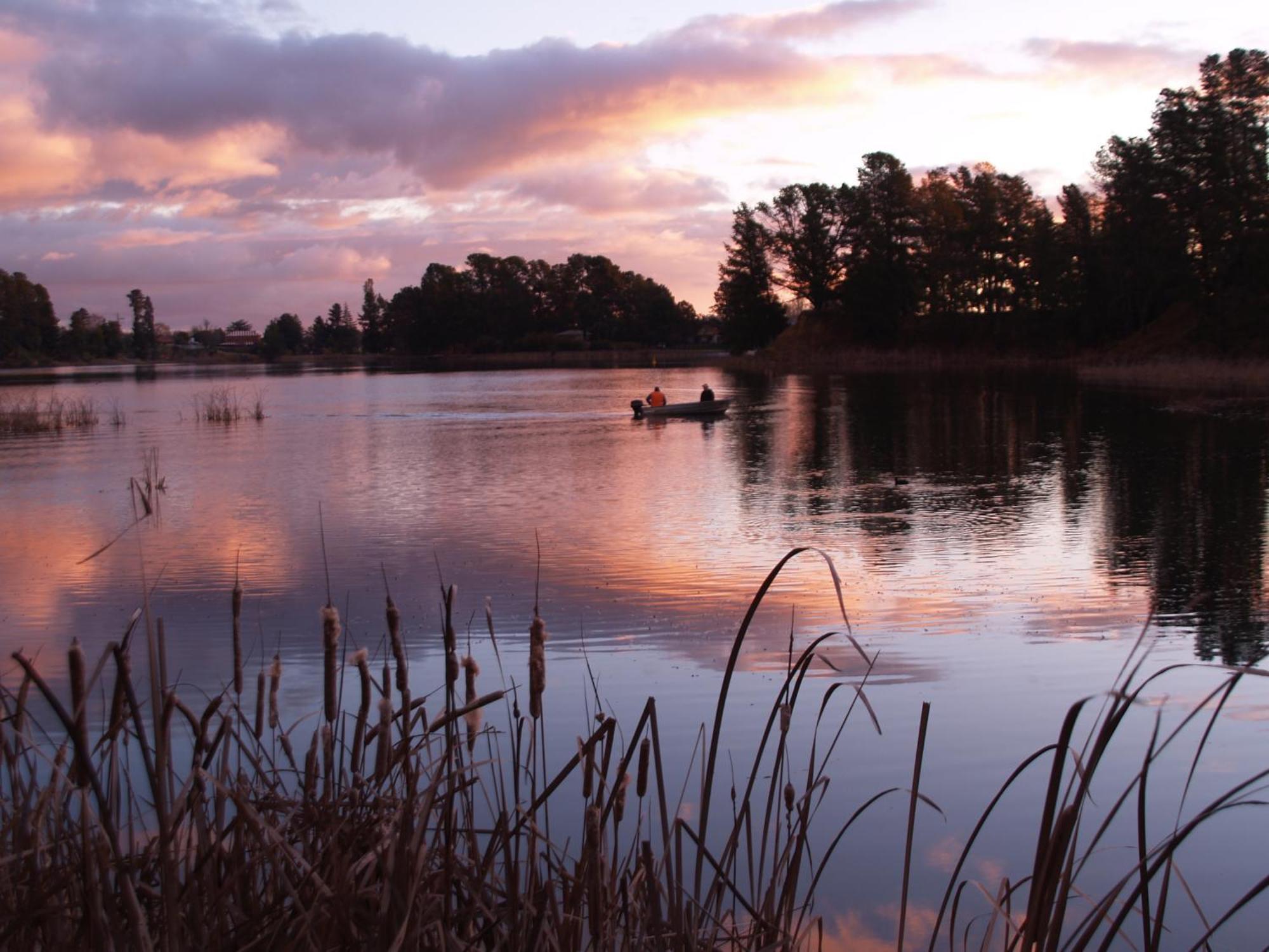 Beechworth Lake Sambell Caravan Park Exterior foto